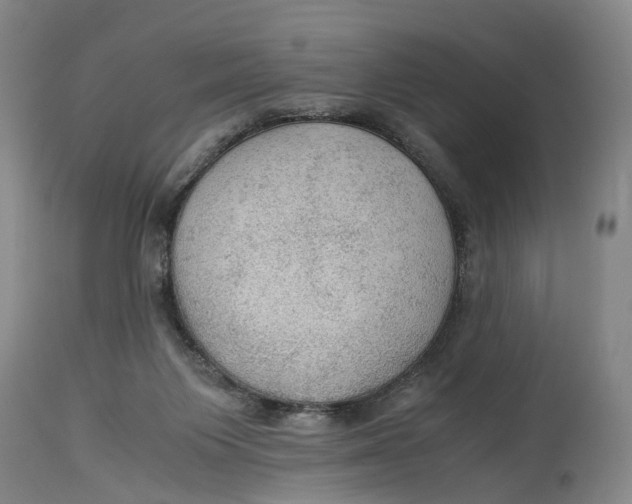 X0000115100119200911171250