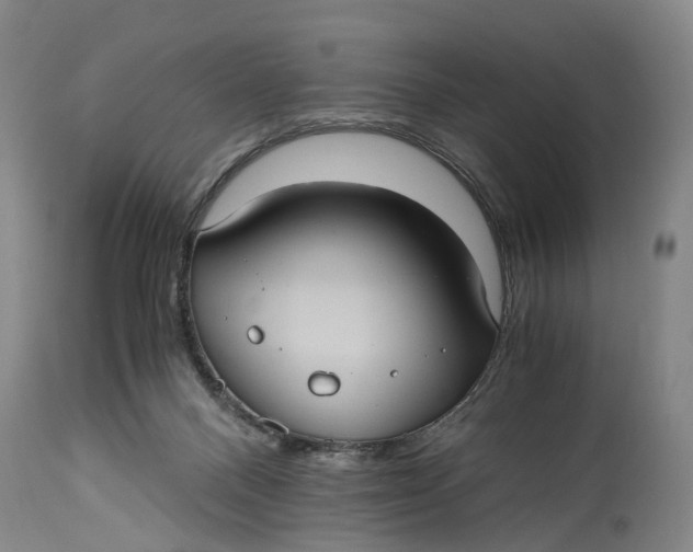 X0000115100120200911171250