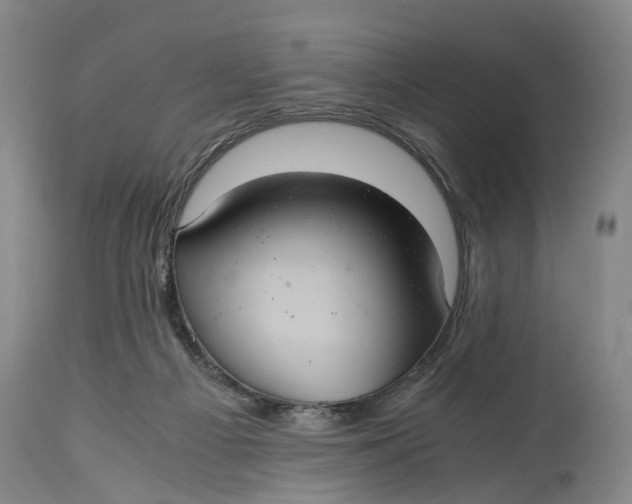 X0000115100121200911171250