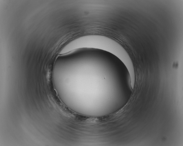 X0000115100124200911171250