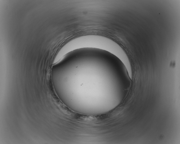 X0000115100125200911171250