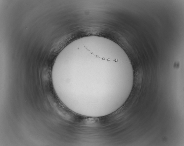 X0000115100126200911171250