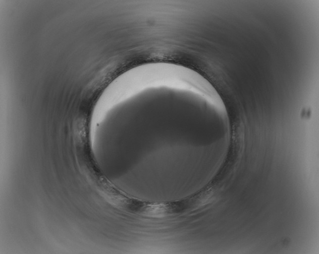 X0000115100127200911171250