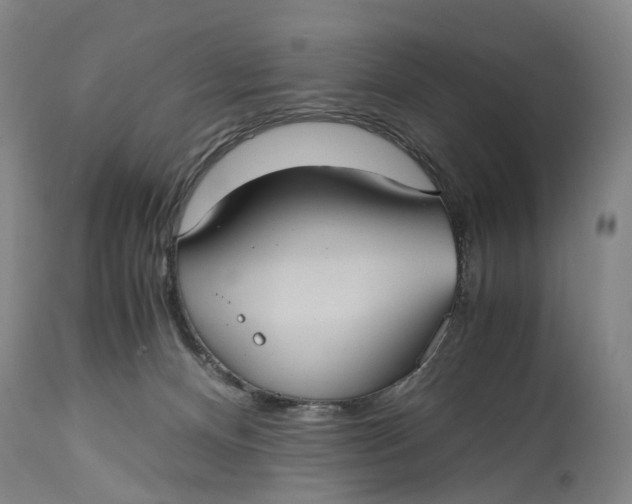 X0000115100128200911171250