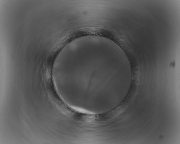 X0000115100131200911171250