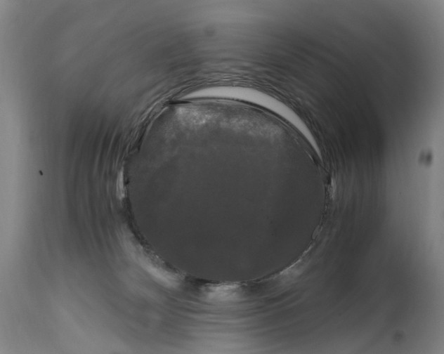 X0000115100132200911171250