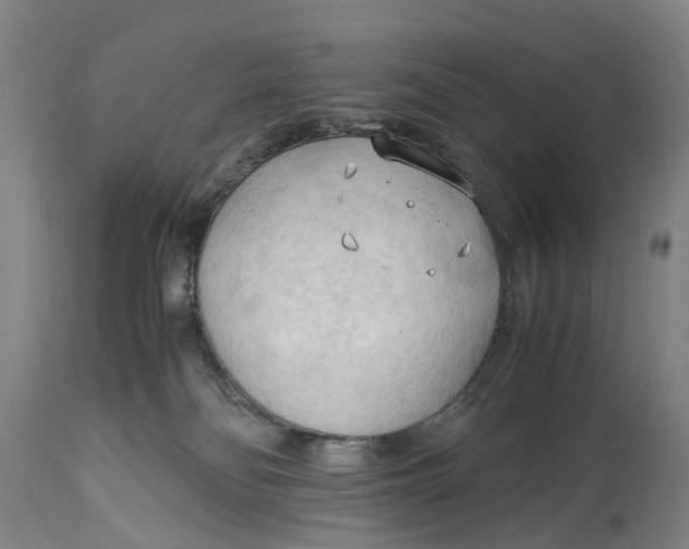 X0000115100134200911171250