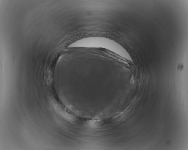 X0000115100136200911171250