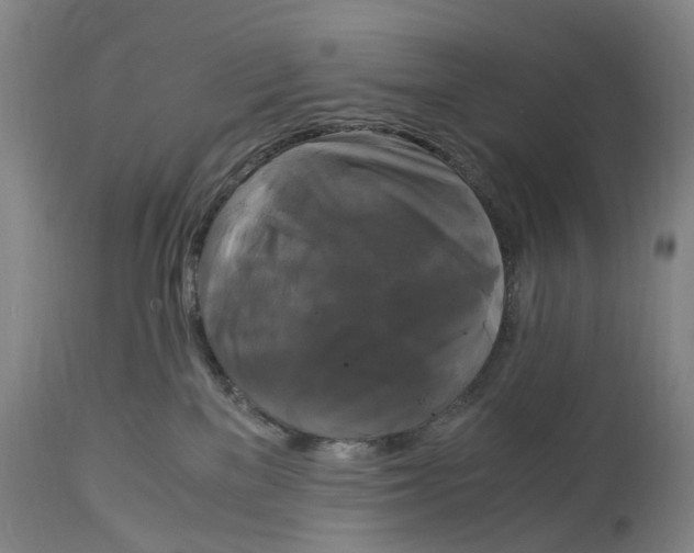 X0000115100137200911171249