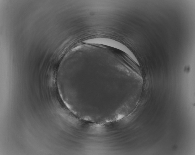 X0000115100140200911171249