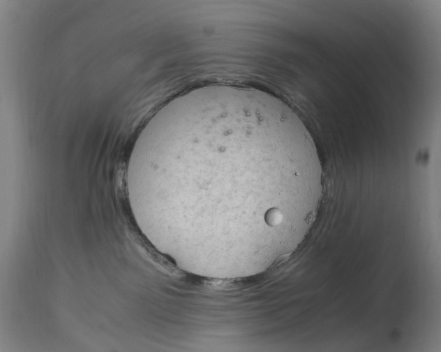 X0000115100141200911171249