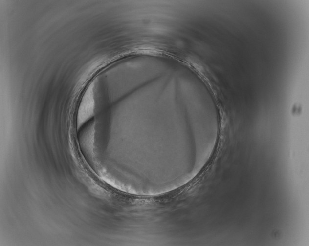 X0000115100145200911171249