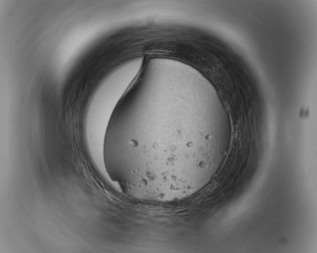 X0000115100146200911171249