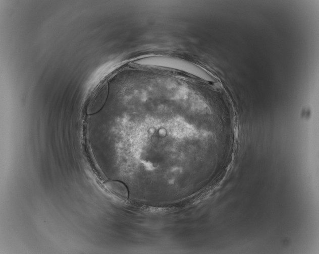 X0000115100149200911171249