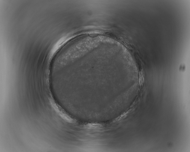 X0000115100150200911171249