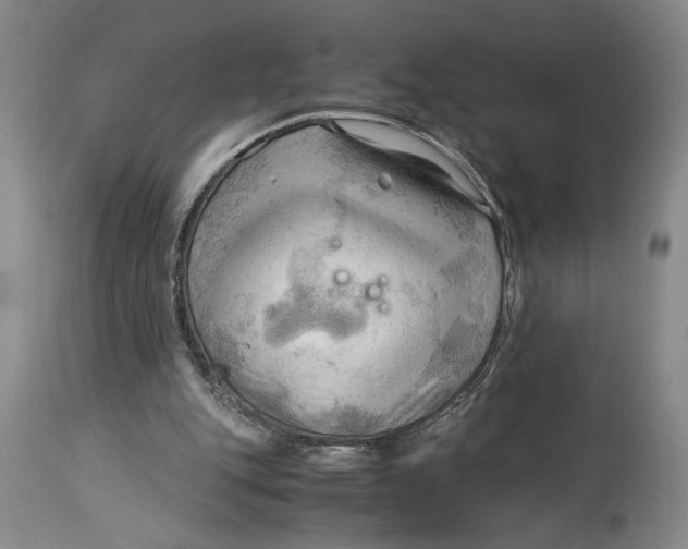 X0000115100151200911171249