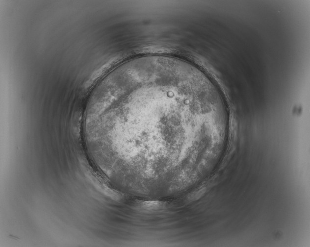 X0000115100153200911171249