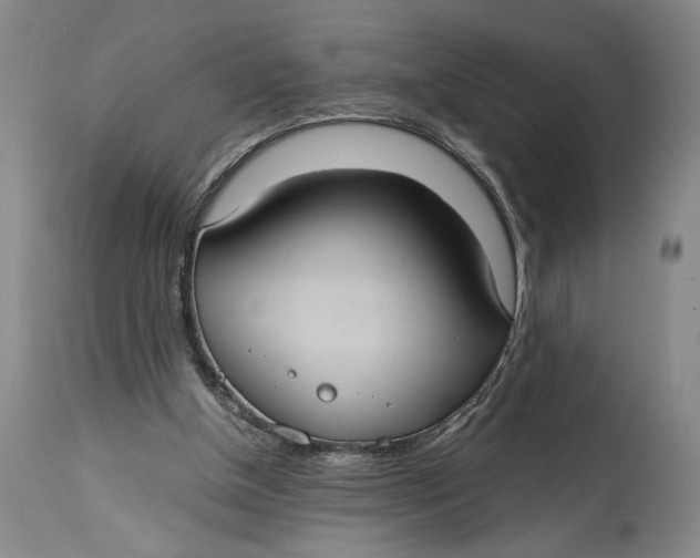 X0000115100154200911171249