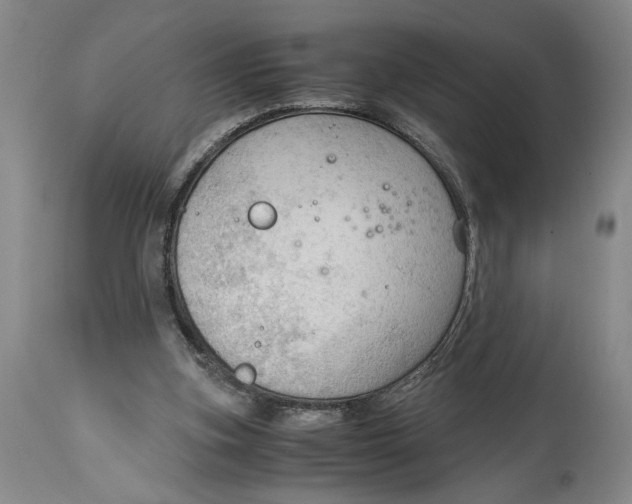 X0000115100155200911171249