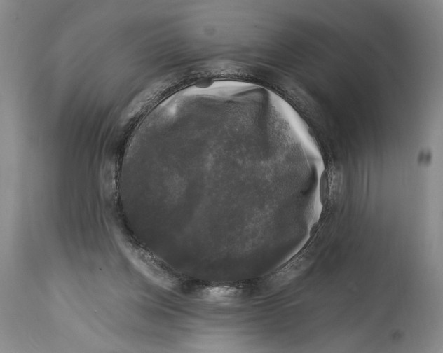 X0000115100158200911171249