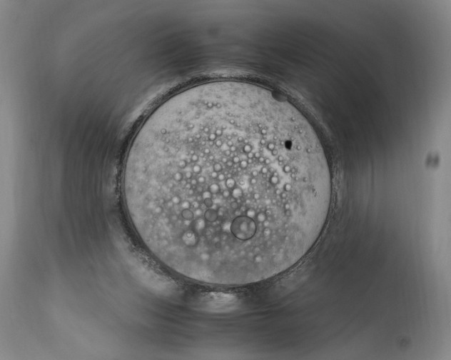 X0000115100159200911171249