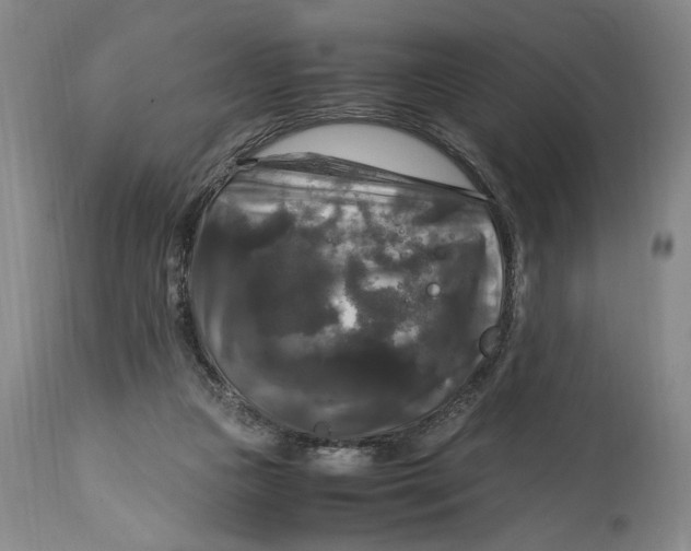 X0000115100161200911171249