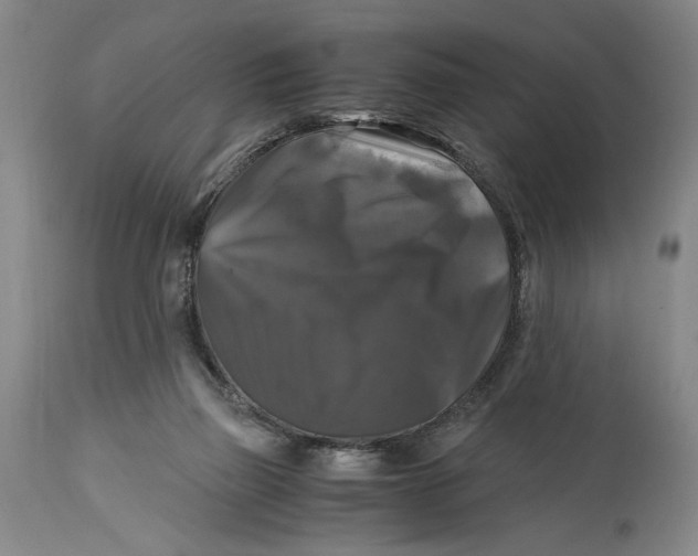 X0000115100165200911171249