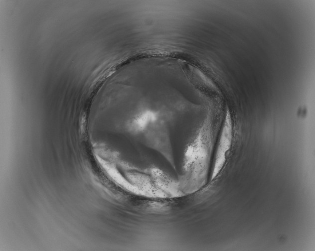 X0000115100166200911171249