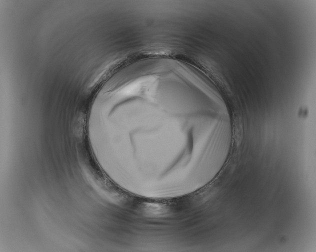 X0000115100167200911171249