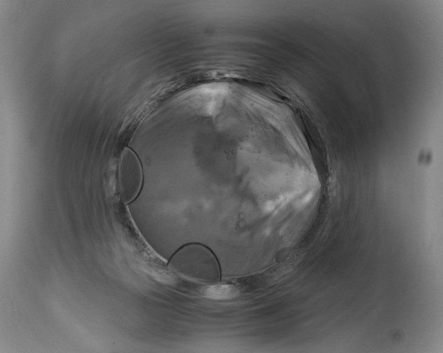 X0000115100169200911171249