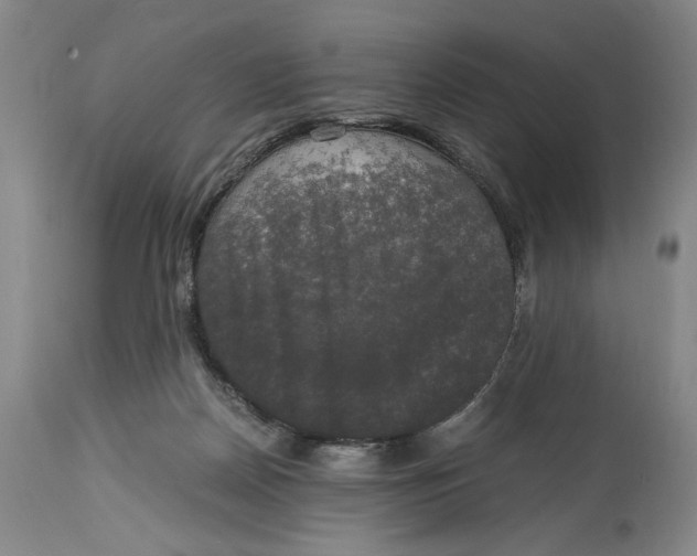 X0000115100170200911171249