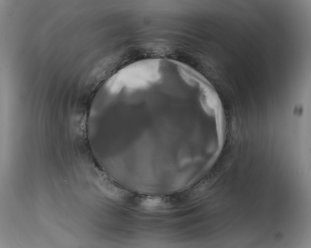 X0000115100177200911171249