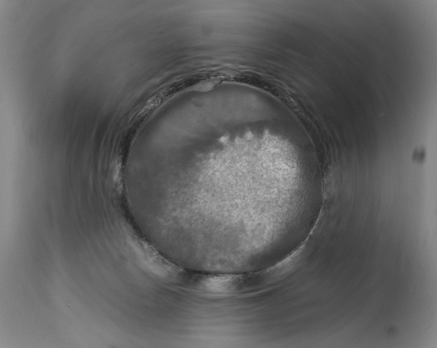 X0000115100178200911171249