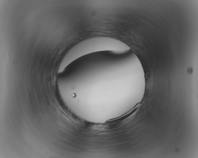 X0000115100179200911171249