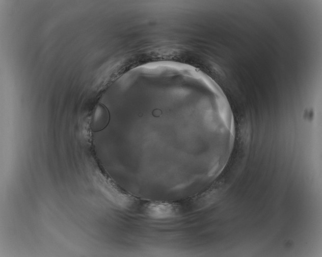 X0000115100181200911171249