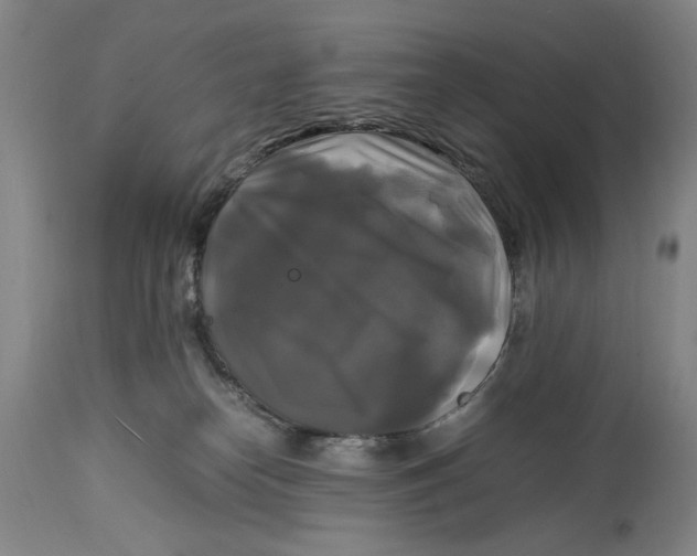 X0000115100182200911171249