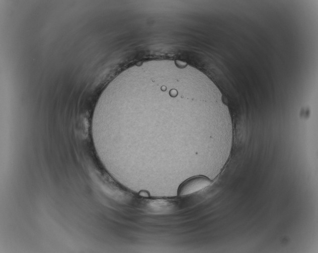 X0000115100183200911171249