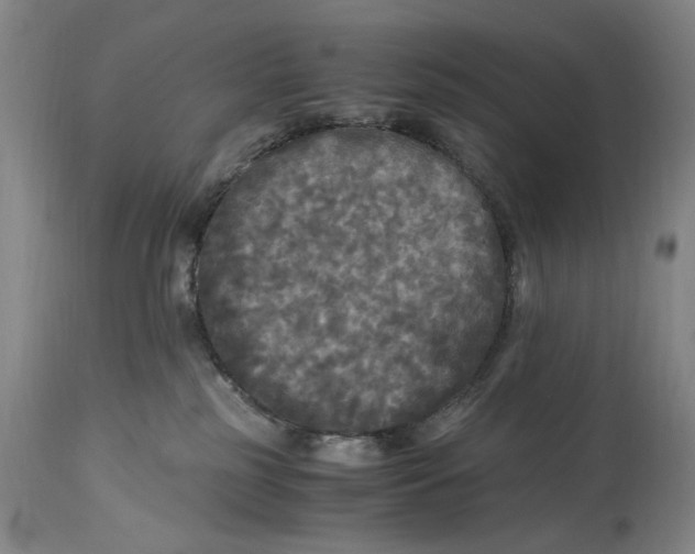 X0000115100185200911171249