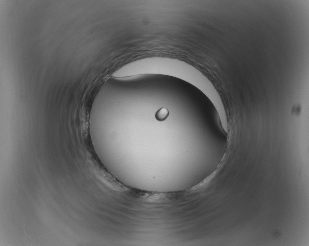 X0000115100186200911171249