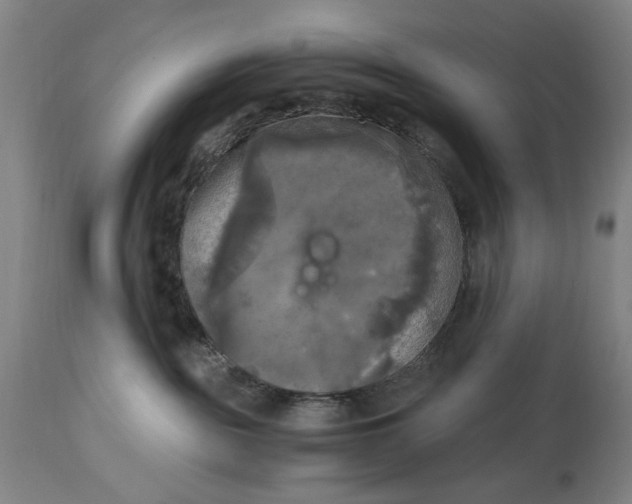 X0000115100189200911171249