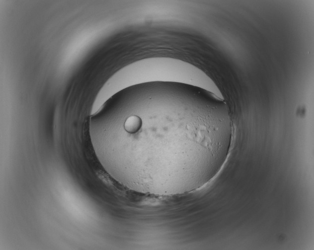 X0000115100190200911171249