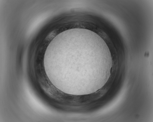 X0000115100191200911171249