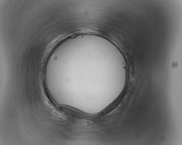 X0000115100193200911171249