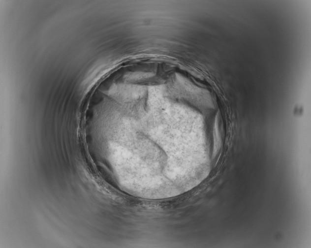 X0000115100194200911171249