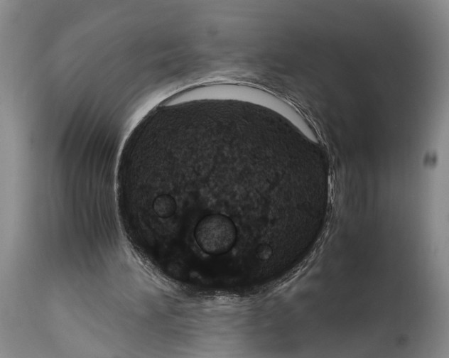 X0000115100196200911171249