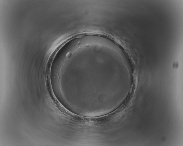 X0000115100199200911171249