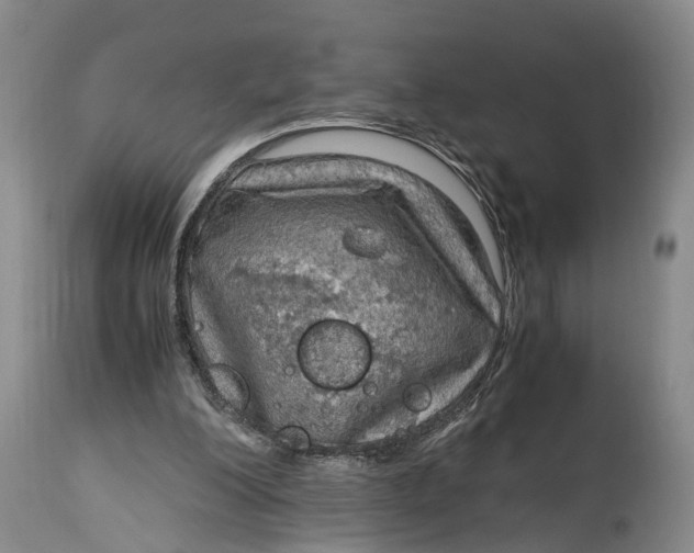 X0000115100200200911171249