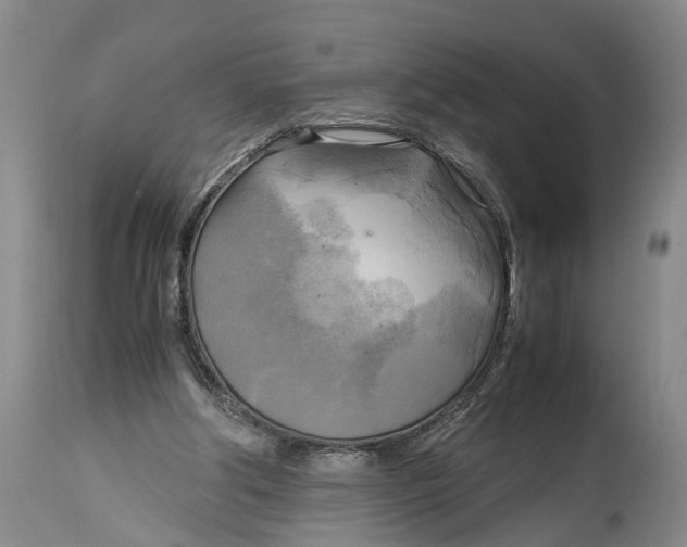 X0000115100202200911171249