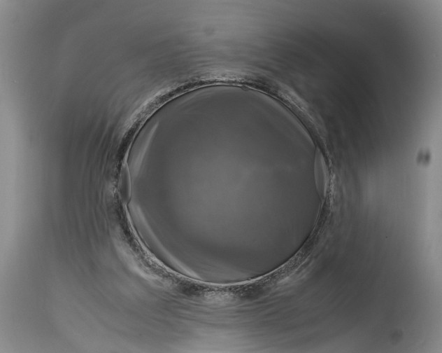 X0000115100203200911171249