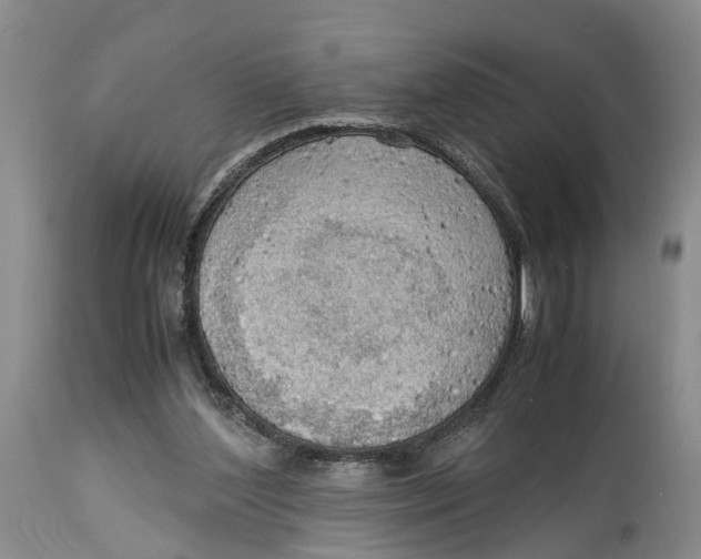 X0000115100204200911171249